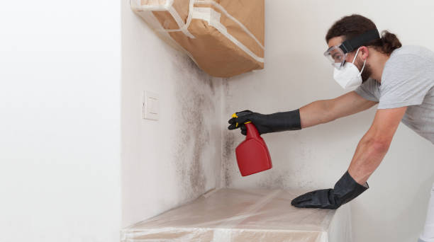 Professional Crawl Space Mold Removal technician working in Westville, IL