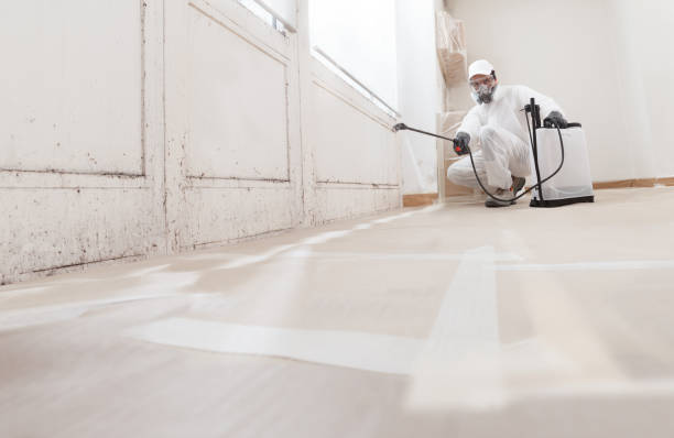 24/7 Emergency Crawl Space Mold Removal experts in Westville, IL